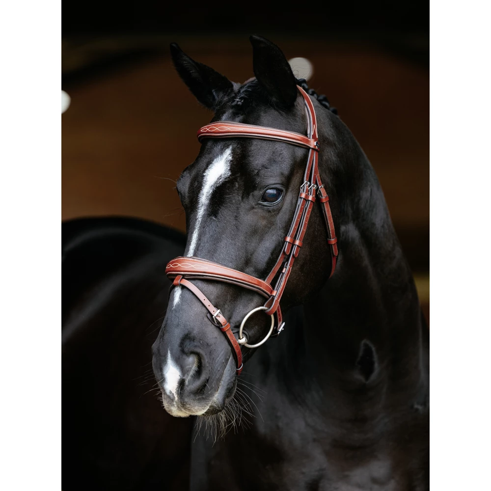 LeMieux Kudos Competition Flash Bridle  - Chestnut in Chestnut