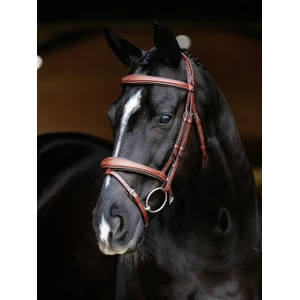 LeMieux Kudos Competition Flash Bridle  - Chestnut in Chestnut