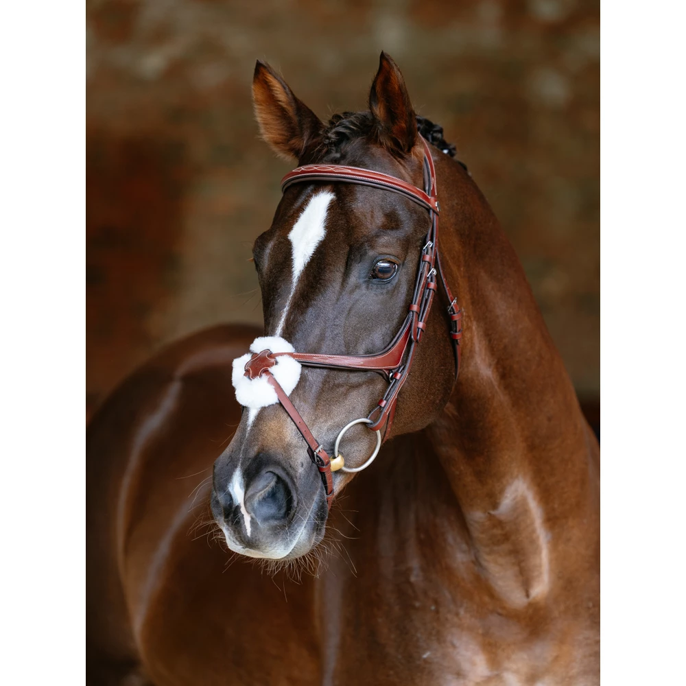 LeMieux Kudos Grackle Bridle  - Chestnut in Chestnut