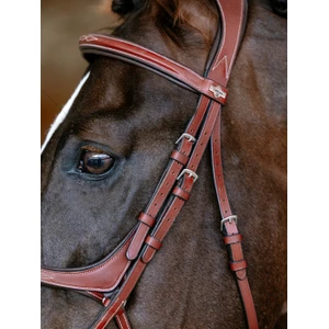 LeMieux Kudos Grackle Bridle  - Chestnut in Chestnut