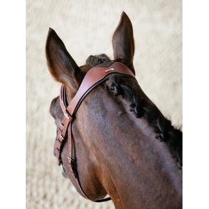 LeMieux Kudos Grackle Bridle  - Chestnut in Chestnut