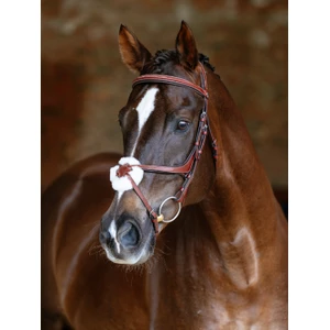 LeMieux Kudos Grackle Bridle  - Chestnut in Chestnut