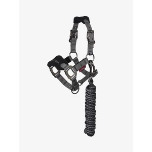 LeMieux Mini Vogue Headcollar & Leadrope  - Black in Black