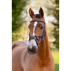 LeMieux Comfort Shield Grackle Nose Filter 2pk  - Brown 