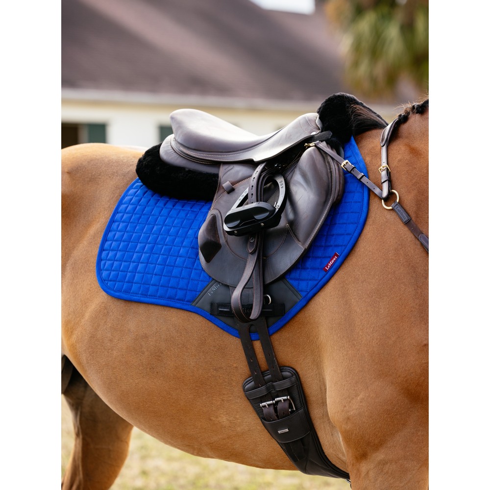 LeMieux Suede Close Contact Square Benetton- Benetton Blue