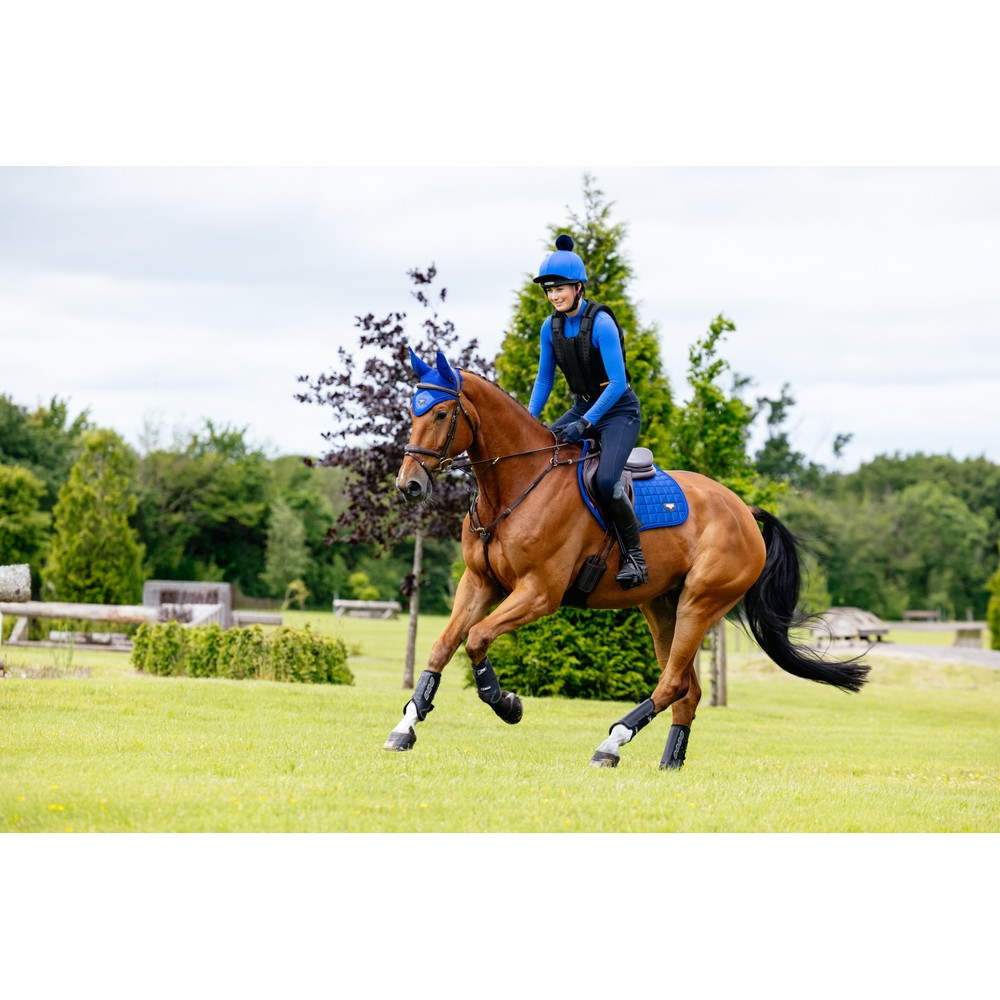 LeMieux Loire Classic Close Contact Square Benetton- Benetton Blue