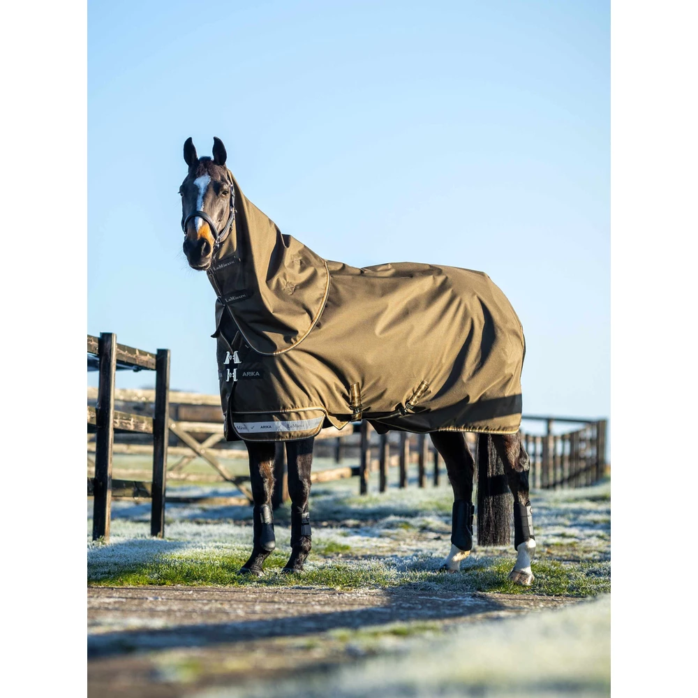 LeMieux Arika Ripstop 100g Turnout Rug  - Alpine in Alpine