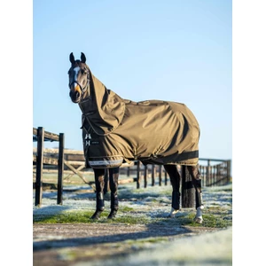 LeMieux Arika Ripstop 100g Turnout Rug  - Alpine in Alpine