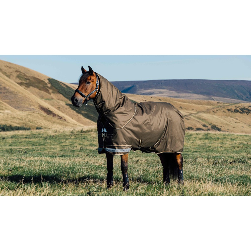 LeMieux Arika Ripstop 100g Turnout Rug - Alpine