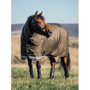 LeMieux Arika Ripstop 200g Turnout Rug  - Alpine in Alpine