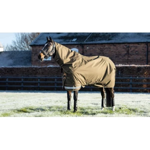 LeMieux Arika Ripstop 200g Turnout Rug  - Alpine in Alpine