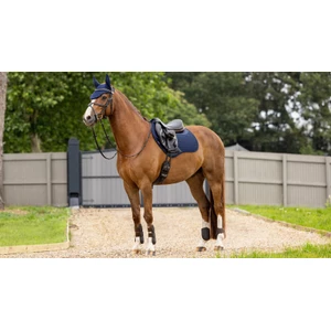 LeMieux Soft Shell Anti Slip Close Contact Square  - Navy in Navy