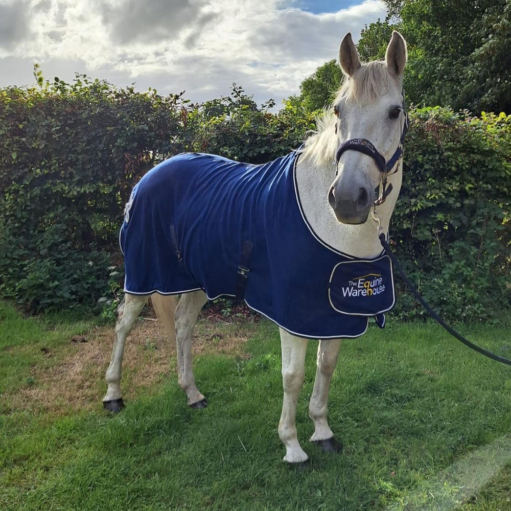The Equine Warehouse Fleece Show Rug - With Ornament