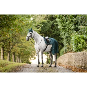 Horseware Ear Net - Dynasty Green in Dynasty Green