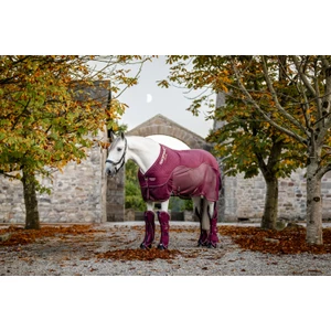 Horseware Signature Travel Boots - Burgundy in Burgundy
