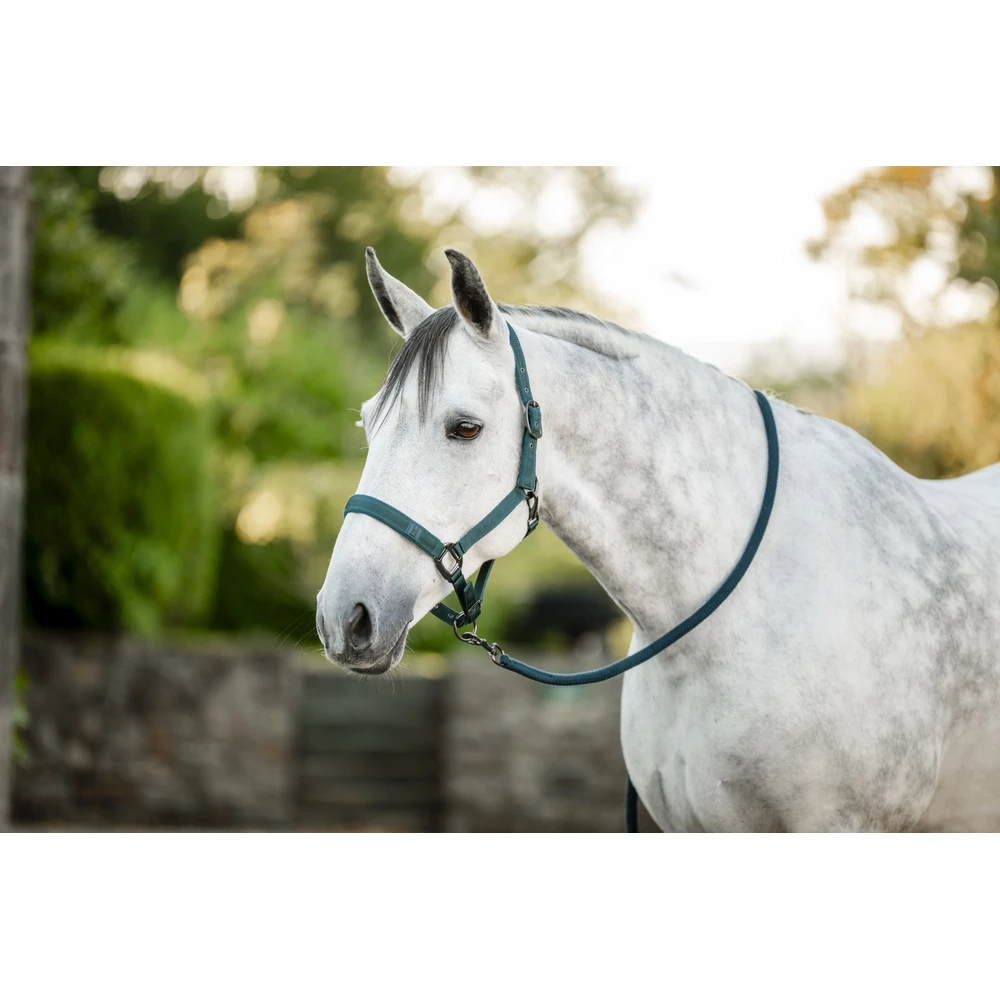 Horseware Amigo Horseware Headcollar & Leadrope - Dynasty Green in Dynasty Green