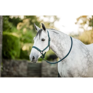 Horseware Amigo Horseware Headcollar & Leadrope - Dynasty Green in Dynasty Green