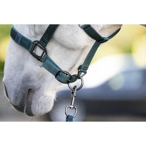Horseware Amigo Horseware Headcollar & Leadrope - Dynasty Green in Dynasty Green