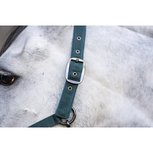 Horseware Amigo Horseware Headcollar & Leadrope - Dynasty Green in Dynasty Green