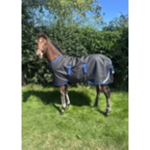 Horseware Amigo Amigo Ripstop 900D Foal Turnout 200g  - Black/Classic Blue in Black/Classic Blue