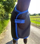Horseware Amigo Amigo Ripstop 900D Foal Turnout 200g  - Black/Classic Blue in Black/Classic Blue