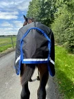Horseware Amigo Amigo Ripstop 900D Foal Turnout 200g  - Black/Classic Blue in Black/Classic Blue