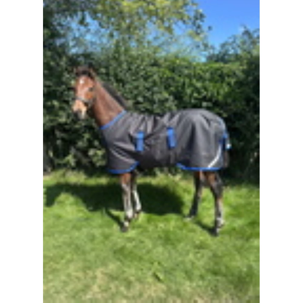 Horseware Amigo Amigo Ripstop 900D Foal Turnout 50g  - Black/Classic Blue in Black/Classic Blue