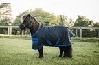 Horseware Amigo Amigo Ripstop 900D Petite Turnout0g  - Black/Classic Blue in Black/Classic Blue