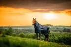 Horseware Amigo Amigo Ripstop 900D Pony Turnout 100g  - Witney Navy in Witney Navy