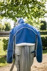 Horseware Ionic Therapy Turnout 100g  - Imperial Blue/Silver & Navy in Imperial Blue/Silver & Navy