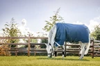 Horseware Ionic Therapy Turnout 100g  - Imperial Blue/Silver & Navy 
