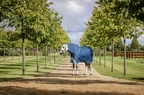 Horseware Ionic Therapy Turnout 100g  - Imperial Blue/Silver & Navy in Imperial Blue/Silver & Navy