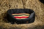 Horseware Newmarket Dog Bed - Witney Gold in Witney Gold