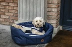 Horseware Newmarket Dog Bed - Witney Navy in Witney Navy