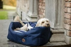 Horseware Newmarket Dog Bed - Witney Navy in Witney Navy