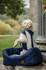 Horseware Newmarket Dog Bed - Witney Navy