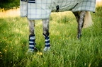 Horseware Newmarket Fly Boots  - Witney Navy in Witney Navy