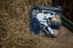 Horseware Newmarket Grooming Brush Set - Witney Navy in Witney Navy