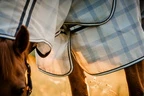 Horseware Rambo Horseware Newmarket Pony Plus Fly Sheet  - Witney Navy in Witney Navy