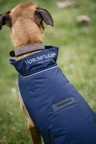 Horseware Signature Dog Rain Coat 100G - Navy in Navy
