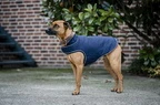 Horseware Signature Dog Rain Coat 100G - Navy in Navy