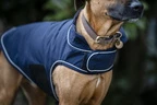 Horseware Signature Dog Rain Coat 100G - Navy in Navy