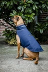 Horseware Signature Dog Rain Coat 100G - Navy in Navy