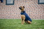Horseware Signature Dog Rain Coat 100G - Navy in Navy