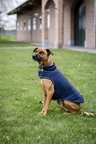 Horseware Signature Dog Rain Coat 100G - Navy in Navy