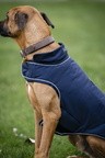 Horseware Signature Dog Rain Coat 100G - Navy