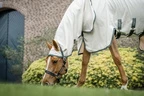 Horseware Rambo Rambo Pony Hoody  - Chalk/Hunter Green & Silver 