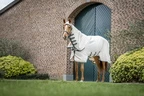 Horseware Rambo Rambo Pony Hoody  - Chalk/Hunter Green & Silver in Chalk/Hunter Green & Silver