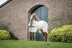 Horseware Rambo Rambo Pony Hoody  - Chalk/Hunter Green & Silver in Chalk/Hunter Green & Silver