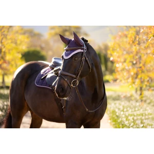 LeMieux Loire Fly Hood  - Juniper in Juniper